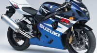 2009 Suzuki GSX R600530219874 200x110 - 2009 Suzuki GSX R600 - Suzuki, R600, 500R, 2009